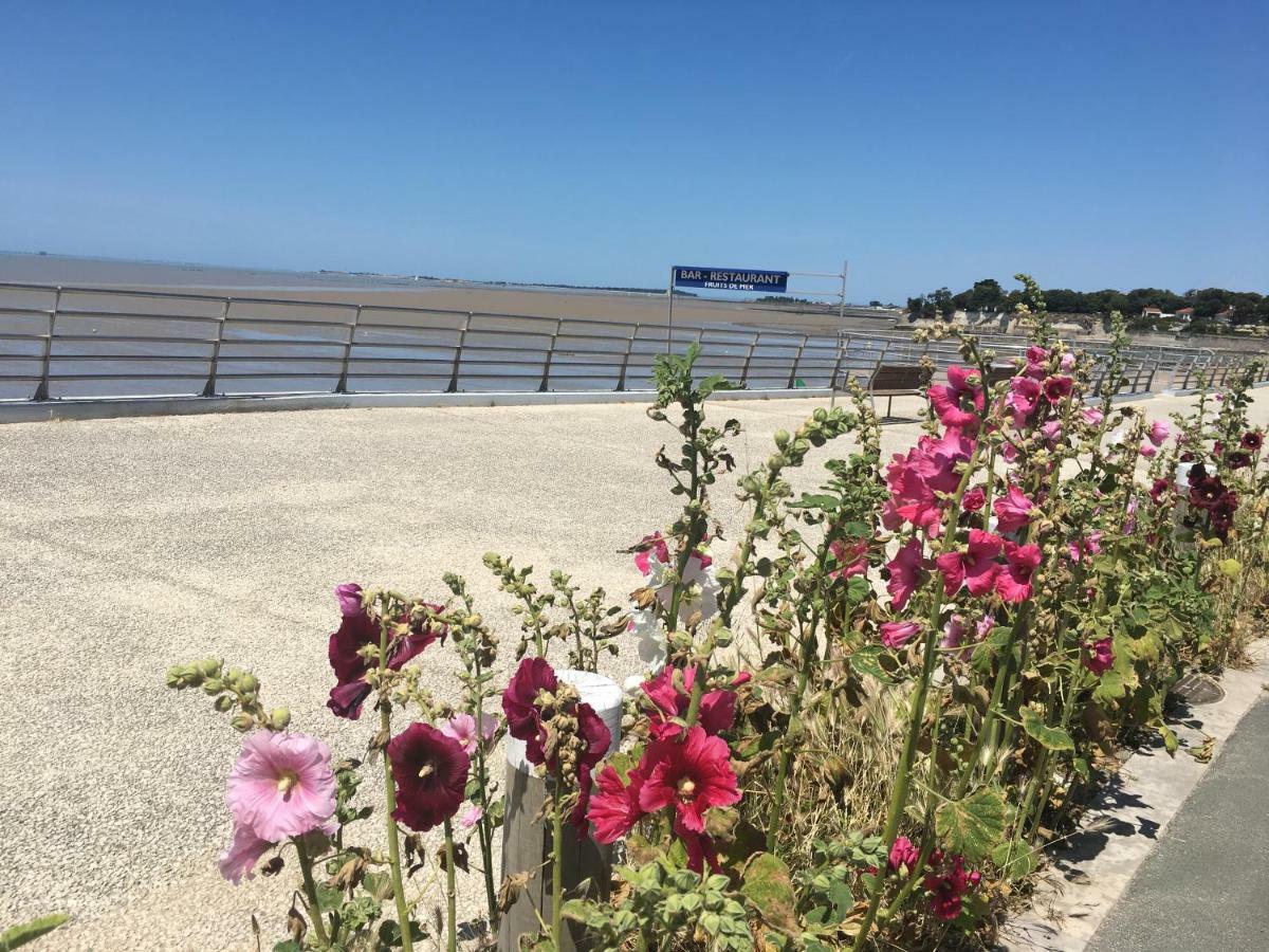 Petit Nid A 50M De La Plage Au Coeur De Fouras Dış mekan fotoğraf